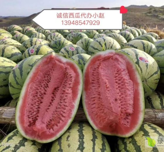 信息技术 第347页
