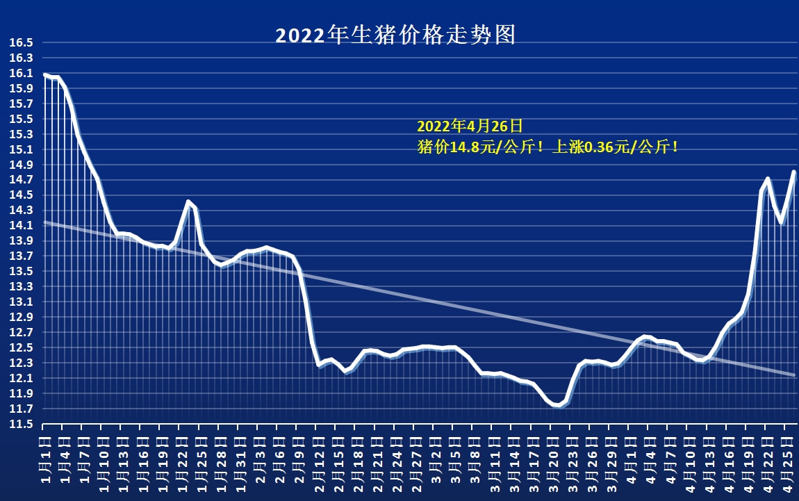 曹县最新猪价概览与动态分析