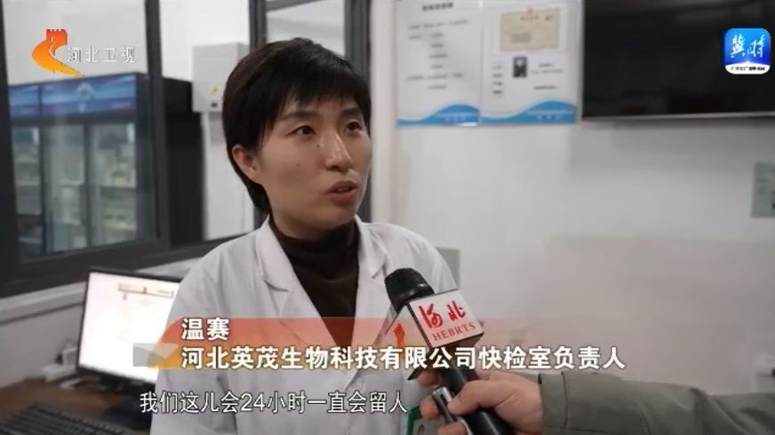 石家庄罗二虎的新职务与日常，职务背后的温馨故事