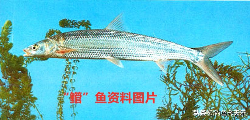 第1319页