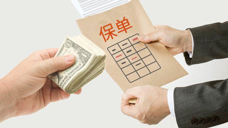 探秘小巷中的隐藏宝藏，保险公司最新增员专题揭秘