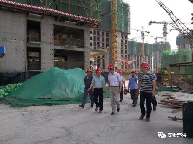 南和环保检查最新动态，深入人心的绿色变革及其影响
