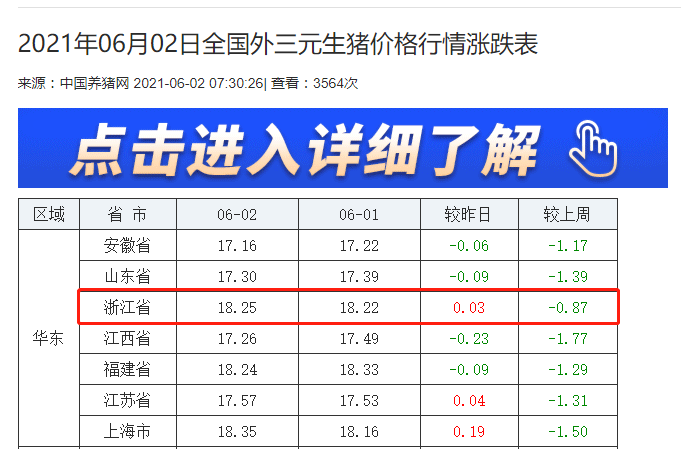 浙江最新生猪价格行情，探寻内心平静的旅程中的市场动态