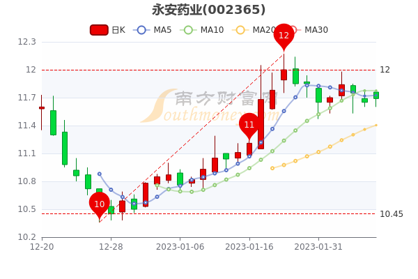 永安药业股票最新动态，深度分析与观点阐述