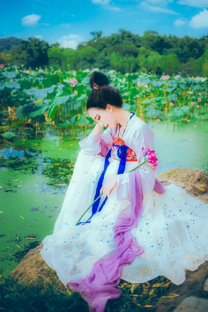 映蔚芙蕖，学习之旅的蜕变与成就感的绽放最新章节