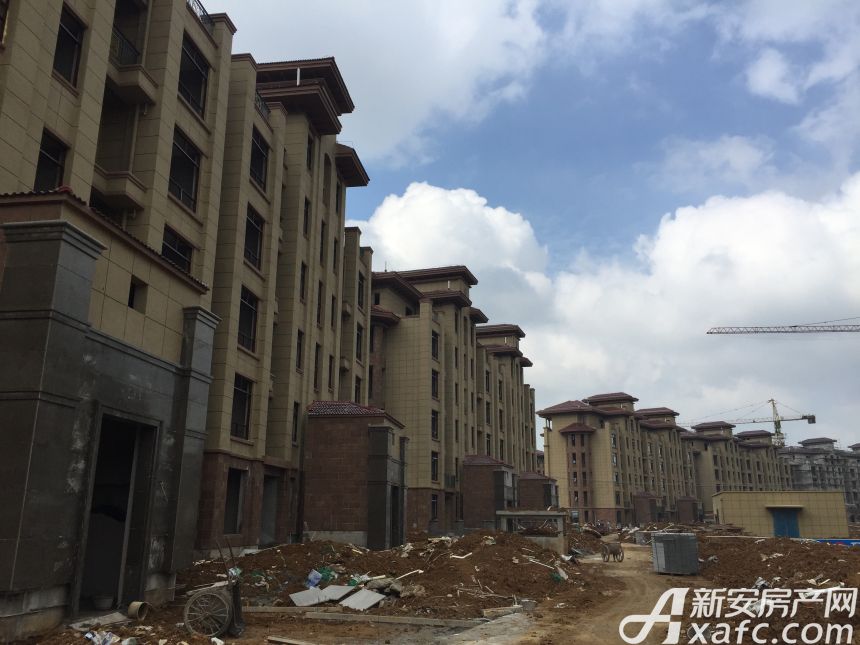 六安水岸名城最新动态，河畔温馨日常揭秘