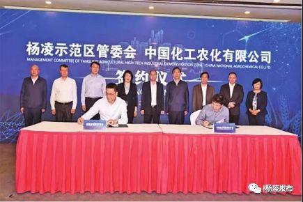 杨凌招商引资最新动态，小巷特色小店惊艳亮相！
