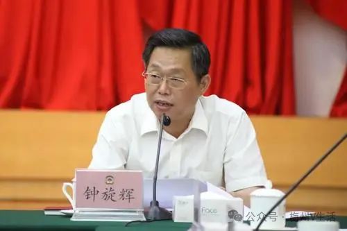 肖若海最新消息，多维度视角下的深度观点分析