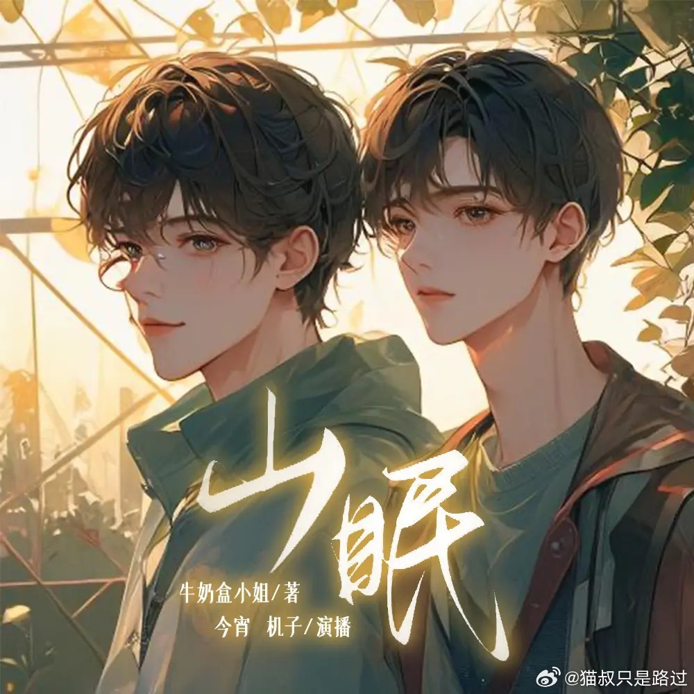 最新耽美广播剧2024概览，热门作品与文章解析