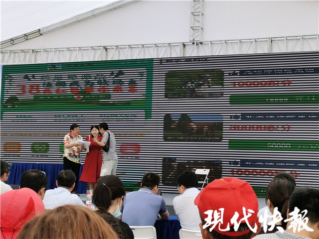 南京非法集资最新动态，观点分析及其影响
