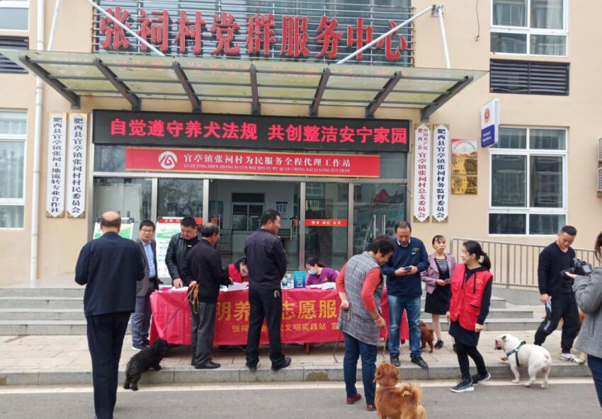 肥西官亭镇最新新闻，小巷深处的独特风味