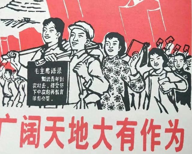 知青最新政策出台2024，小巷深处的独特风情与隐藏瑰宝揭秘