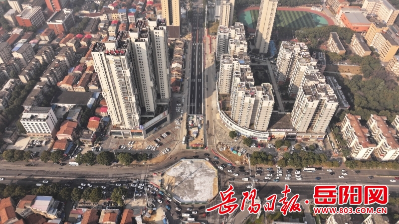 岳阳岳州路最新动态，科技引领创新，重塑未来生活之路
