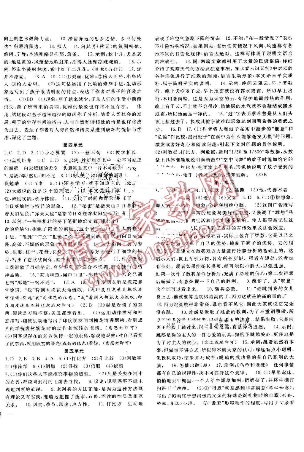 揭秘最新版非常假期集结号，背景、事件与深远影响