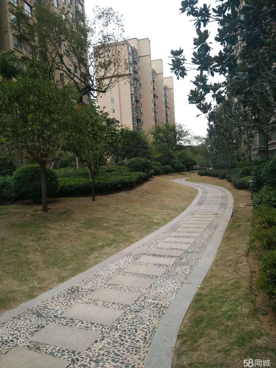 内乡左岸皇朝，时尚潮流新地标，最新消息一览