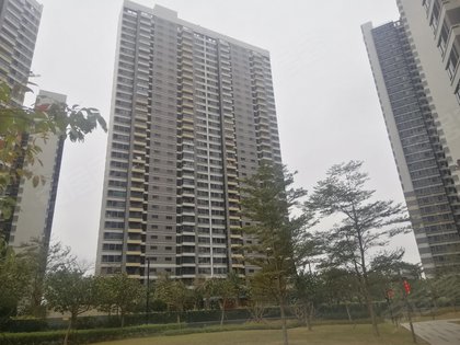 珠海香海彼岸最新房价动态，变化中的学习与自信的力量