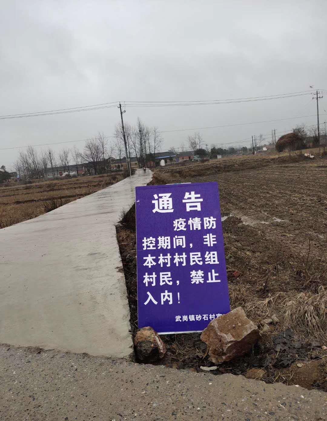 最新封村现象，深度解读与反思