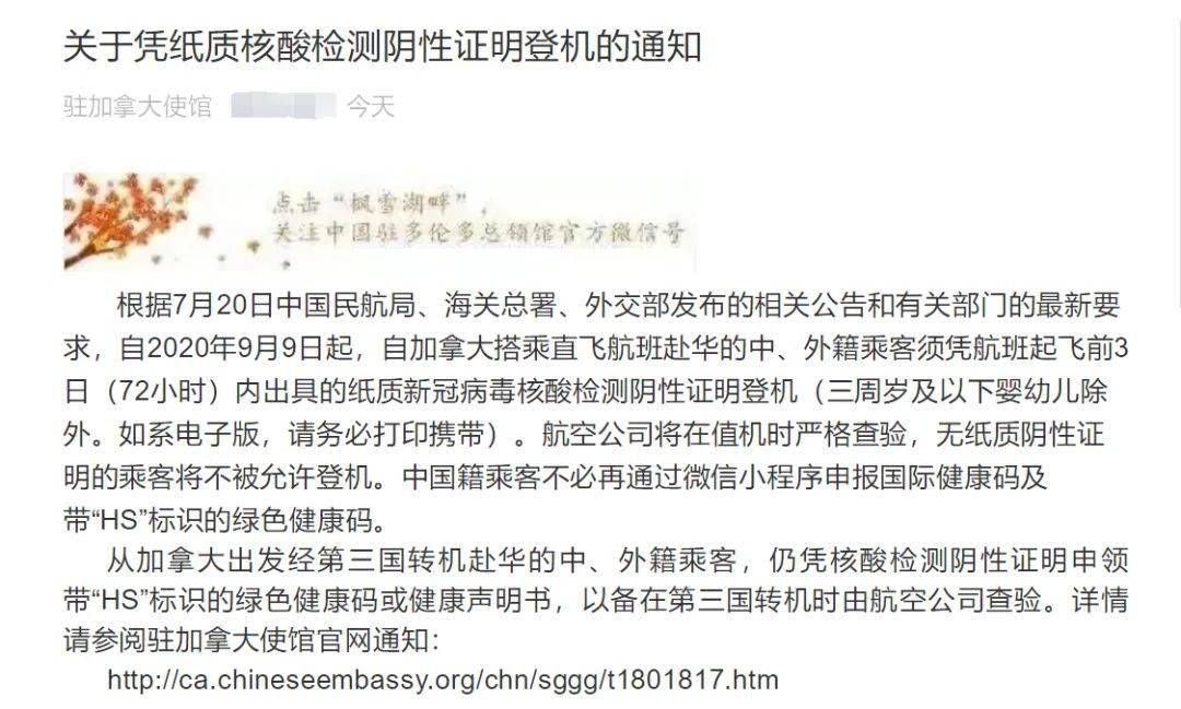 最新入境公告及其观点论述解析