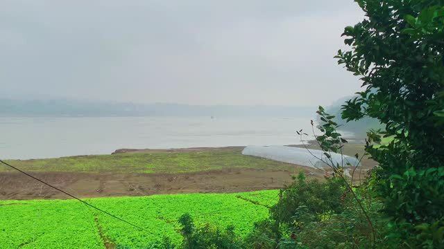 黄舣最新，自然美景的轻松探索之旅
