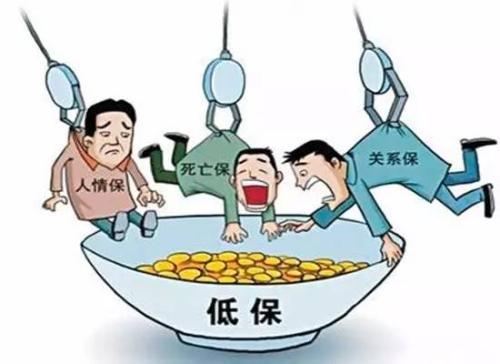 家的温馨与友情的奇遇，最新房帽子故事开启
