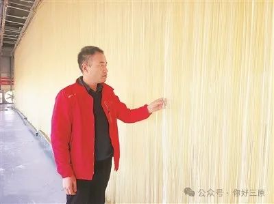 小巷深处的面食瑰宝，最新挂面新闻速递