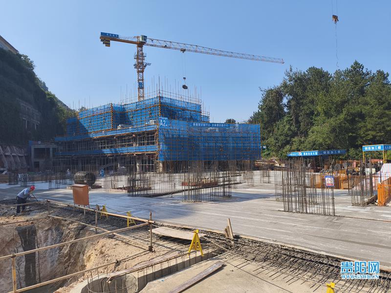 2024全年资料免费大全功能,网络空间安全_先锋科技50.514