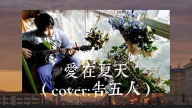最新夏季歌曲与夏日趣事盘点