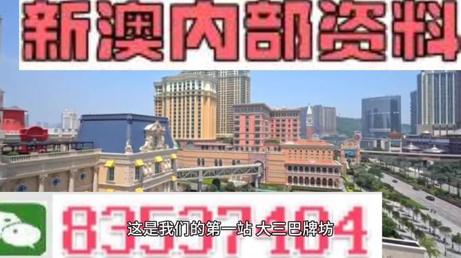 2024新澳门正版免费资料,实践调查说明_解密版8.705