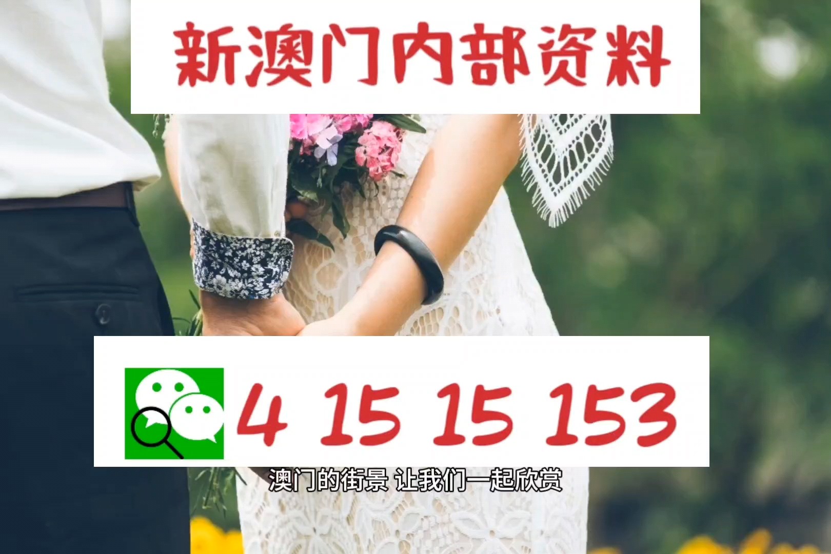 2024新澳门特免费资料的特点,可靠执行操作方式_明星版3.139