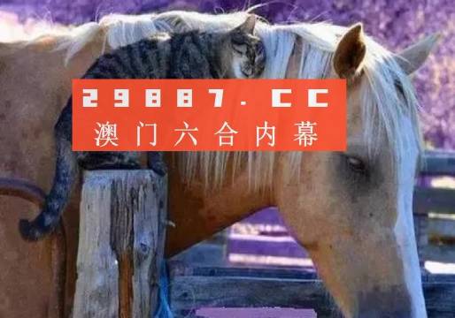 2024澳门买马最准网站,全面解答群众咨询_味道版5.558