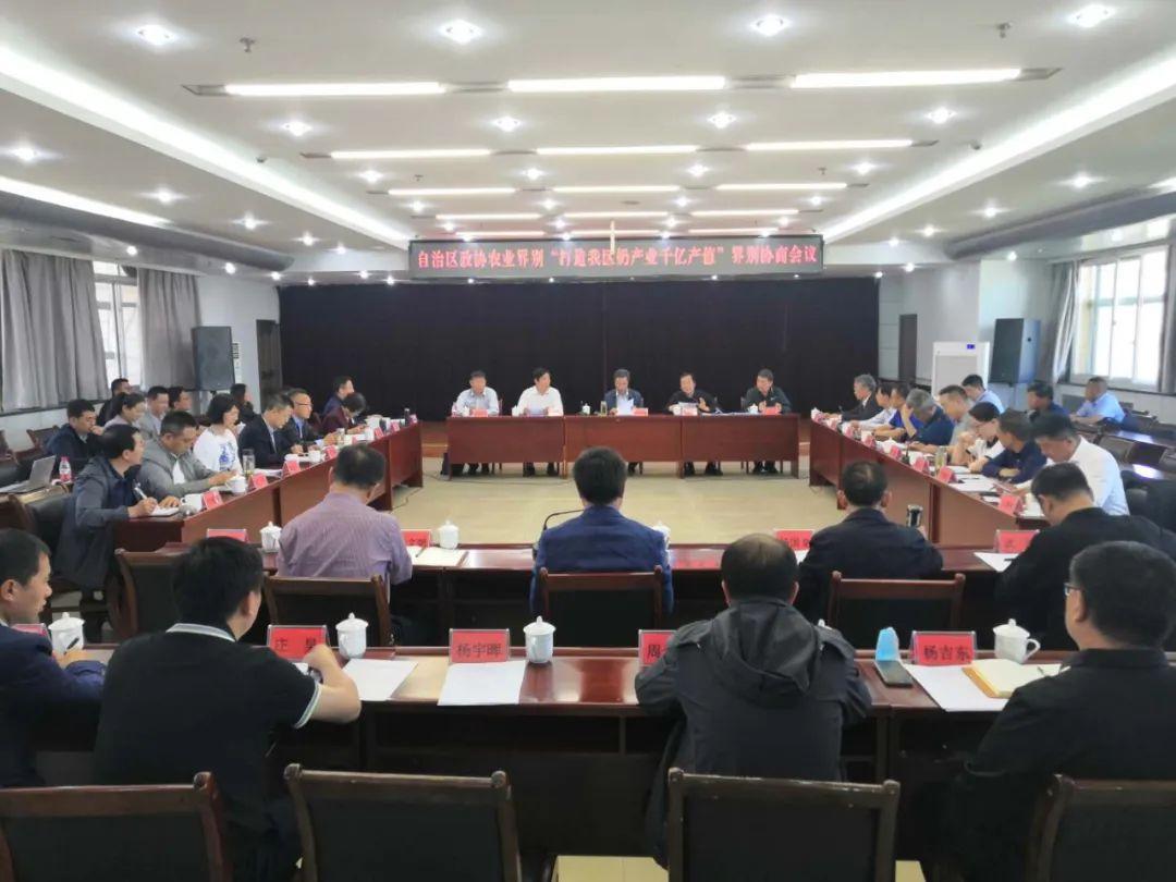 新澳今晚开什么号码,实地观察解释定义_演讲版1.460