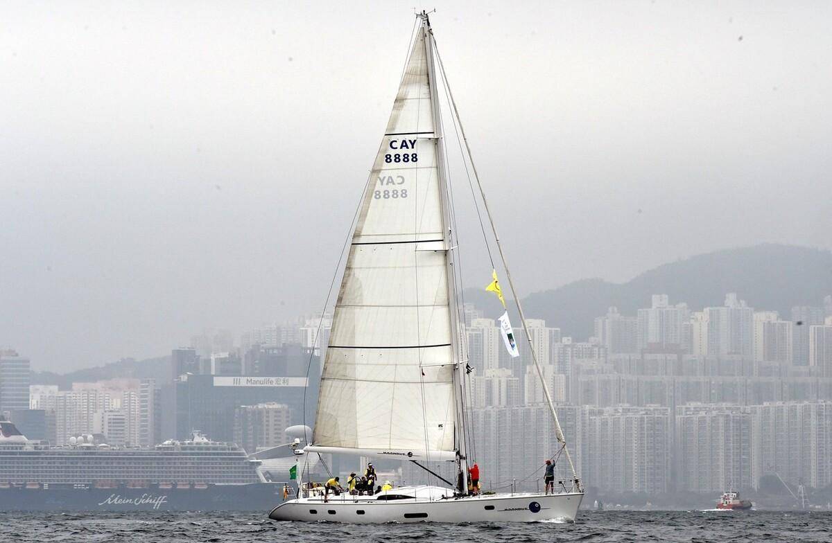 2024新奥正版资料大全,专业解读评估_护眼版13.565