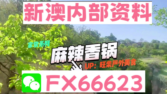 新澳精准资料免费提供最新版,高效计划实施_私密版88.641