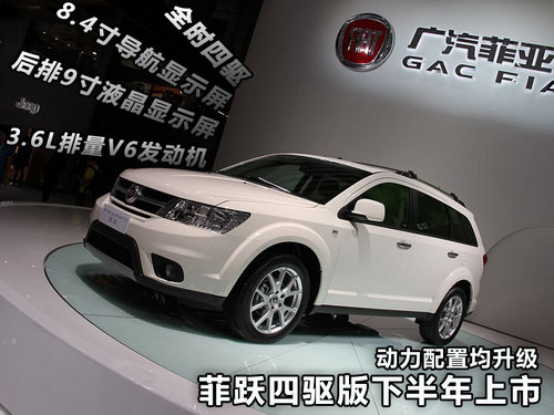 菲跃最新报价更新🌟