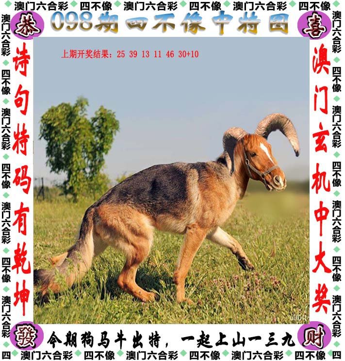 澳门最精准四不像正版,解析解释说法_丰富版26.508