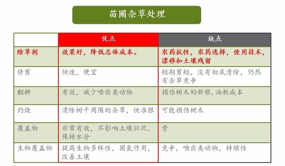 新澳资料免费,专业数据解释设想_共鸣版54.140