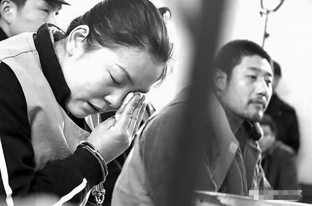 杀师案深度剖析，事件背后的复杂因素揭秘