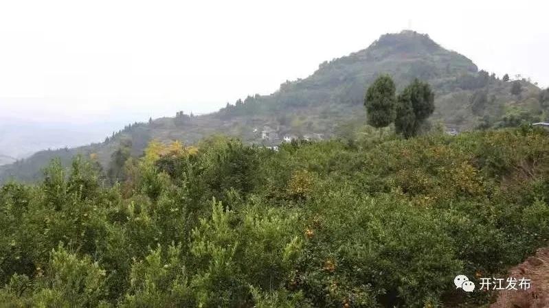 揭秘最新背账群真相与应对策略，探讨背后的风险与防范之道