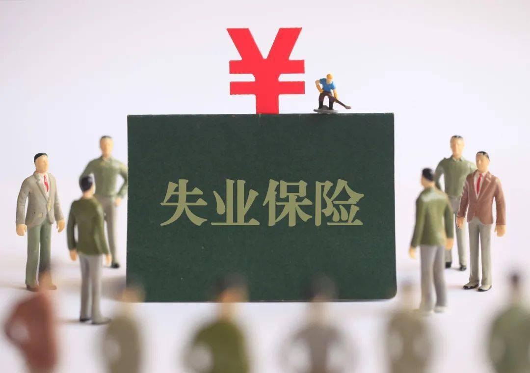 失业险最新补助,失业险最新补助，申请与利用全步骤指南（初学者/进阶用户适用）