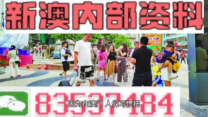 2024新澳门正版免费资料,决策资料收集_多媒体版74.513
