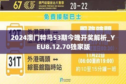 2024正版今晚开特马,决策支持方案_动态版70.500