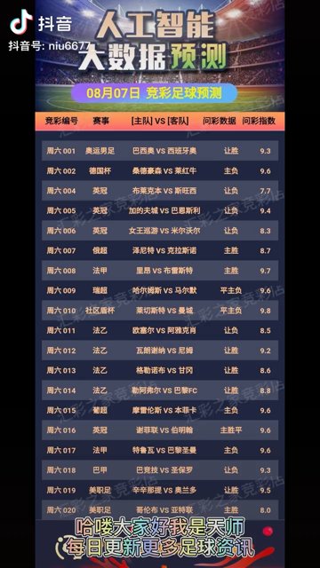 2024澳门天天开好彩大全体育,专业地调查详解_怀旧版47.485