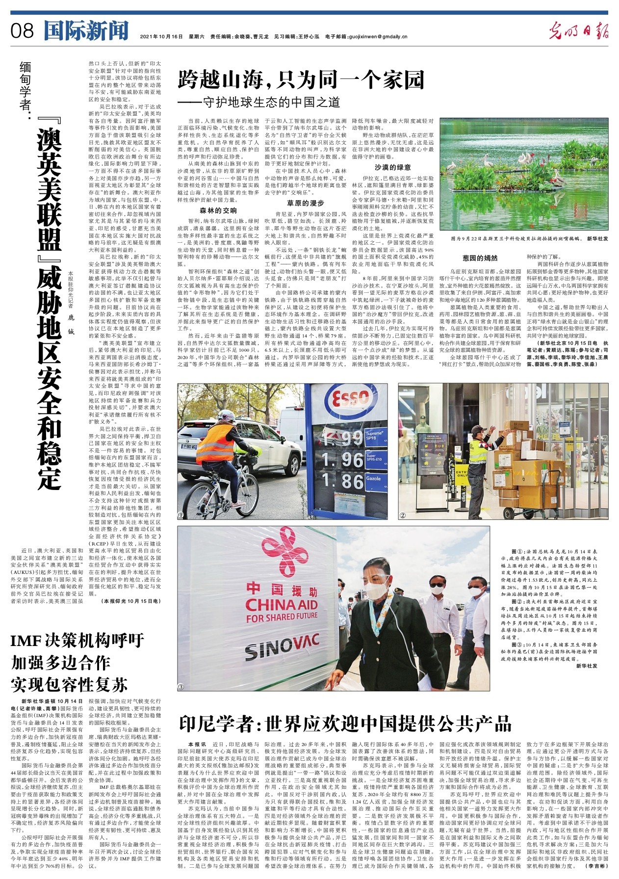 新澳正版资料大全免费图片,专业地调查详解_动感版44.415