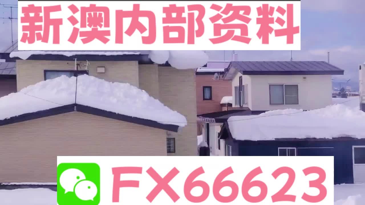 新澳精准内部码资料期期准,标准执行具体评价_赋能版48.106