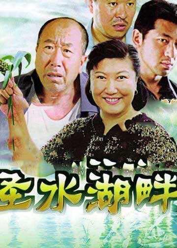 团圆电视剧全集深度解析与推荐，40集精彩剧情回顾