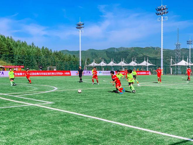 足球比赛精彩瞬间集锦，赛场风云与战术解析指南