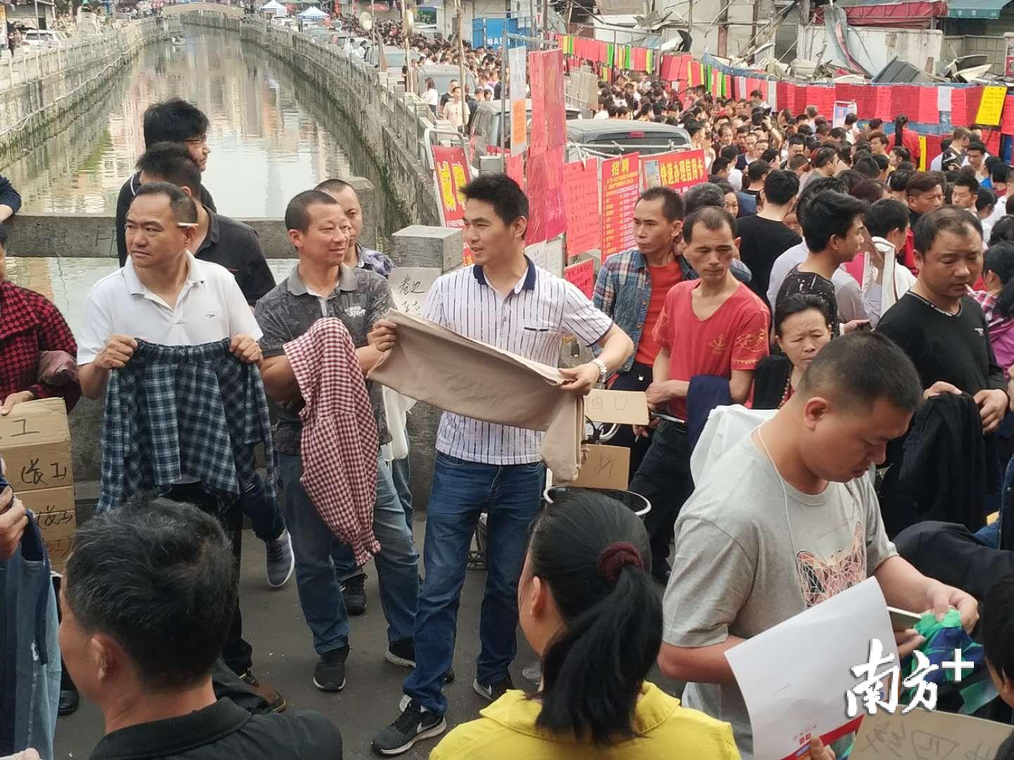 东莞桥头工厂探秘，最新招聘信息与小巷独特工厂揭秘
