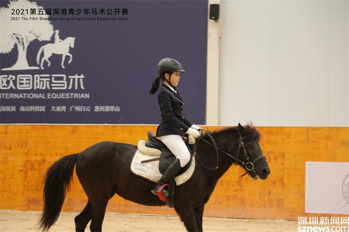 少年马术比赛，技能学习与任务完成指南