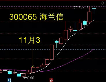海兰信股票,海兰信股票，小巷中的隐秘宝藏，探索特色小店的无限魅力