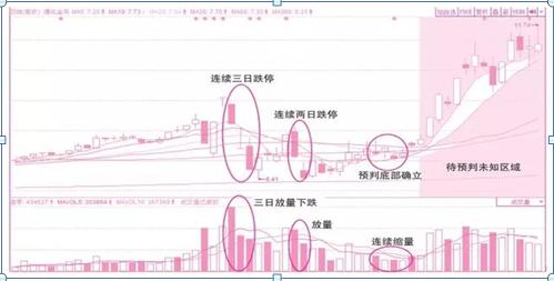 通化金马股票股吧深度解析与投资洞察指南